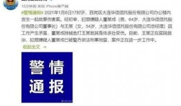 大连华信爆料案件最新,揭露企业内幕，真相即将浮出水面